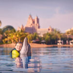 Atlantis the Palm Dubai