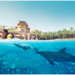 Atlantis the Palm Dubai